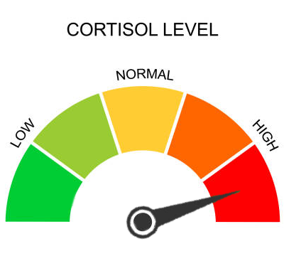Cortisol Meter